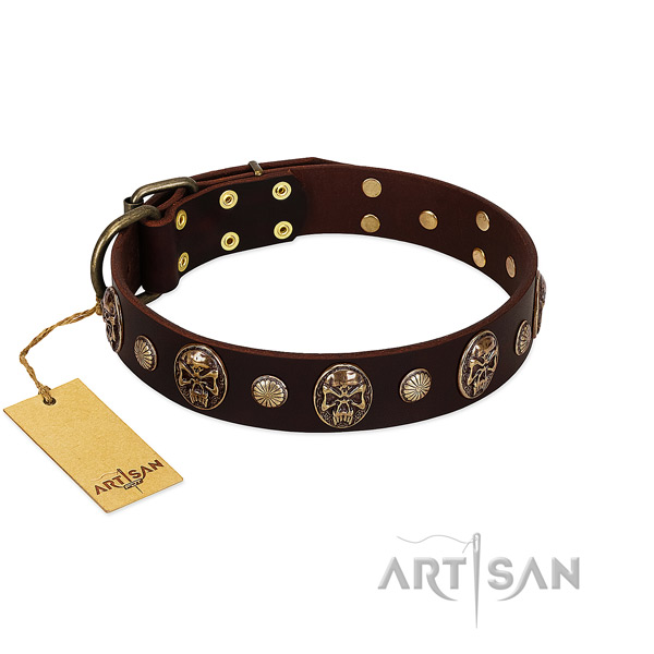 Amazing full grain leather dog collar for handy use