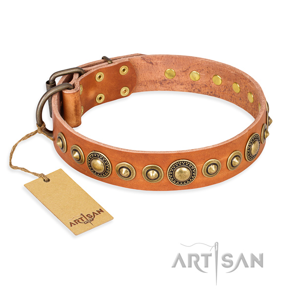 Best quality genuine leather collar created for your four-legged friend