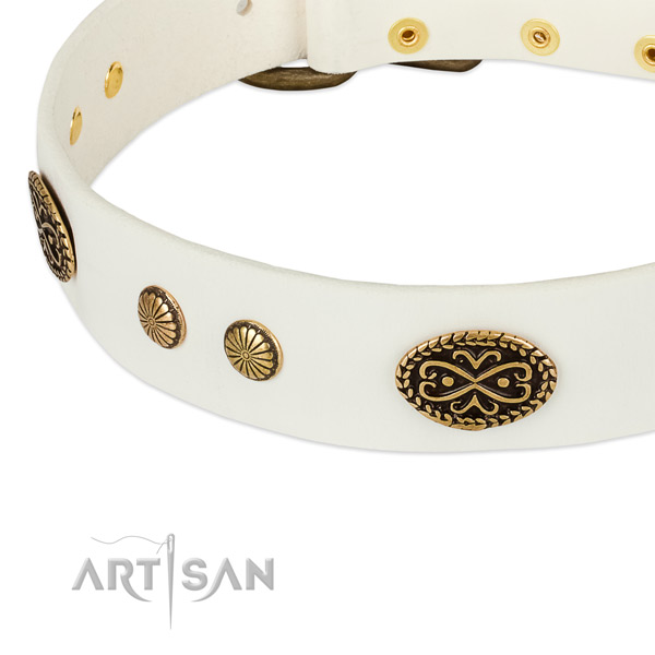 Corrosion resistant embellishments on full grain natural leather dog collar for your doggie