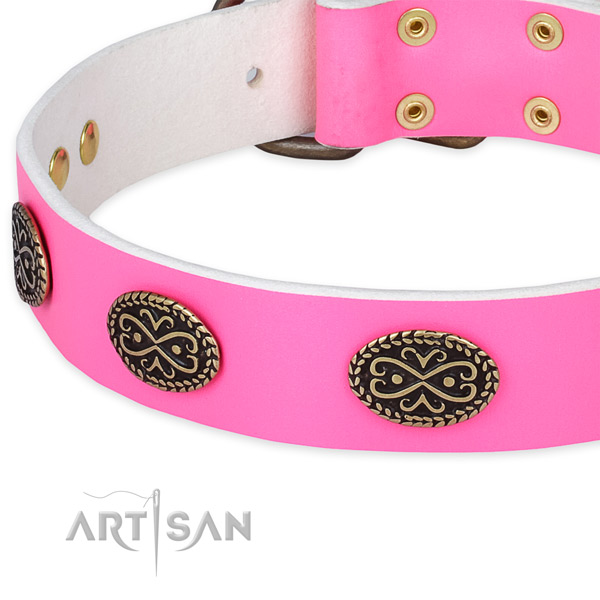 Full grain natural leather dog collar with studs for walking