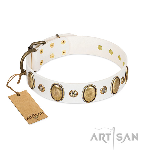 Full grain leather dog collar of high quality material with designer studs