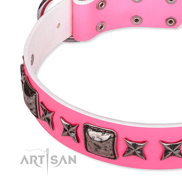 Stylish walking decorated dog collar of strong full grain leather