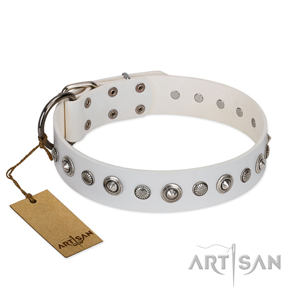 Quality leather dog collar with exceptional decorations