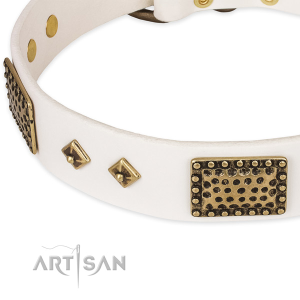 Reliable embellishments on full grain natural leather dog collar for your dog