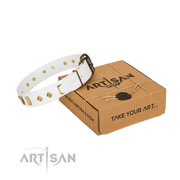 Top rate full grain leather dog collar with rust-proof D-ring