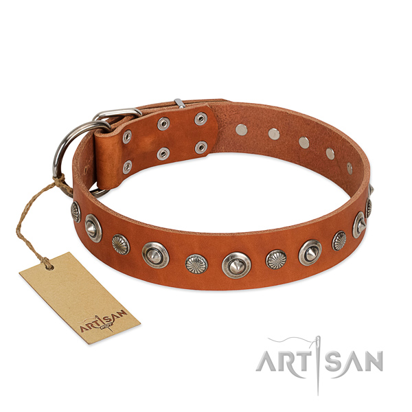 Fine quality full grain leather dog collar with significant studs