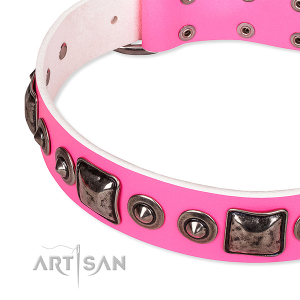 High quality full grain natural leather dog collar created for your handsome canine