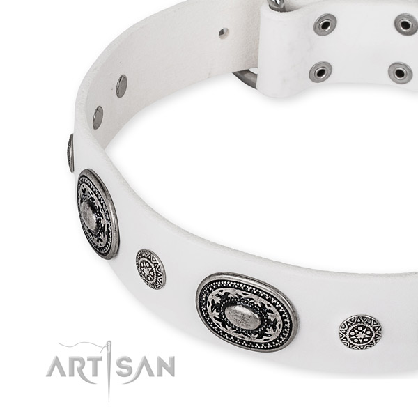 Top notch full grain leather dog collar made for your lovely doggie