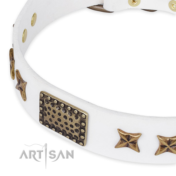 Full grain genuine leather collar with rust resistant fittings for your attractive pet