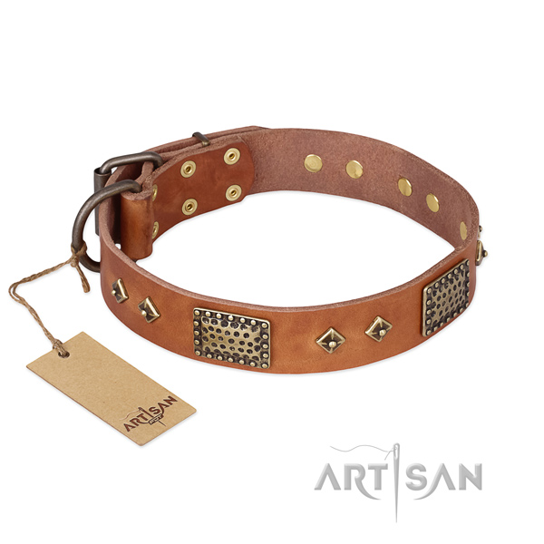 Inimitable full grain leather dog collar for everyday walking