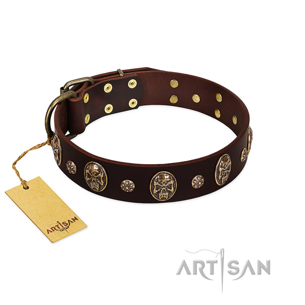 Remarkable full grain genuine leather collar for your four-legged friend