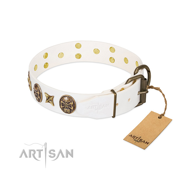 Rust resistant traditional buckle on full grain natural leather collar for walking your four-legged friend
