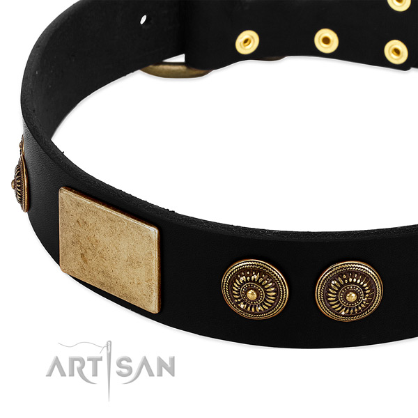 Rust-proof decorations on full grain leather dog collar for your dog