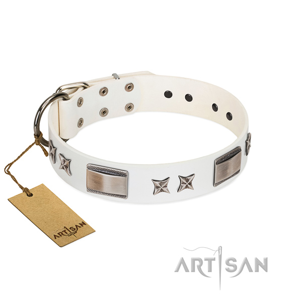 Awesome dog collar of leather
