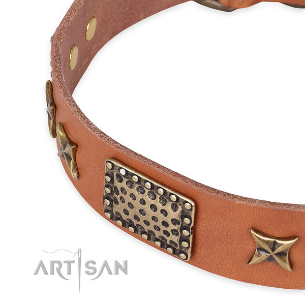 Leather collar with rust resistant fittings for your impressive doggie