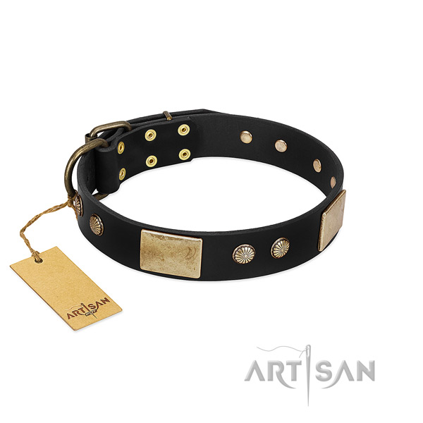Easy adjustable genuine leather dog collar for daily walking your four-legged friend