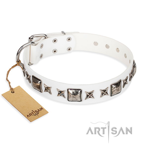 Full grain genuine leather dog collar made of gentle to touch material with durable fittings