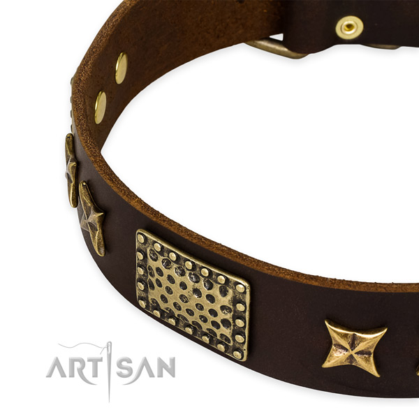 Genuine leather collar with rust-proof D-ring for your beautiful dog