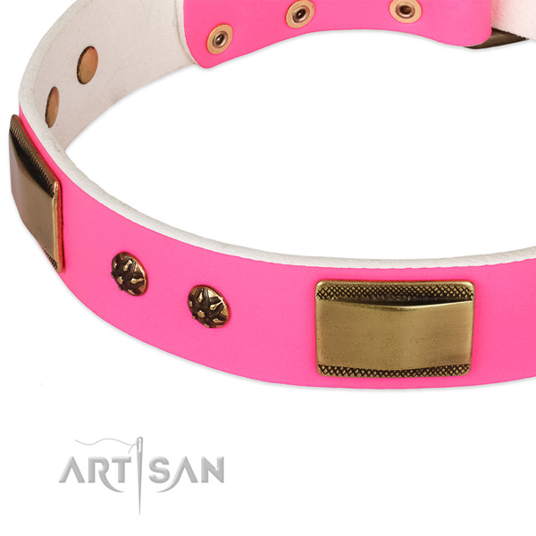 Corrosion proof embellishments on leather dog collar for your dog