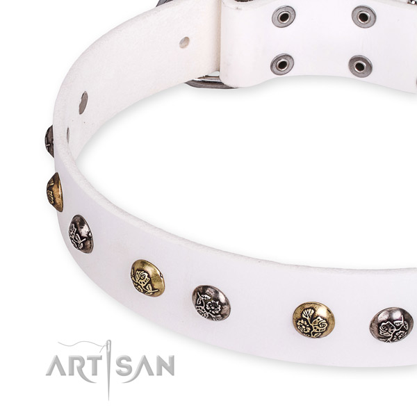 Leather dog collar with unusual corrosion proof decorations