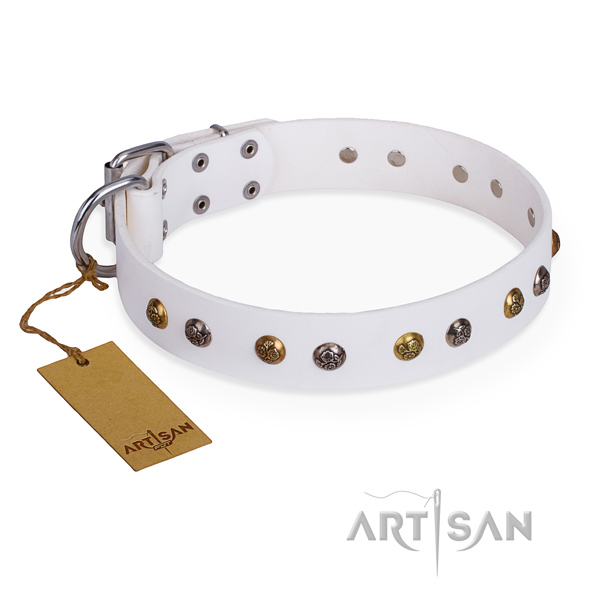 Fancy walking stylish dog collar with strong hardware