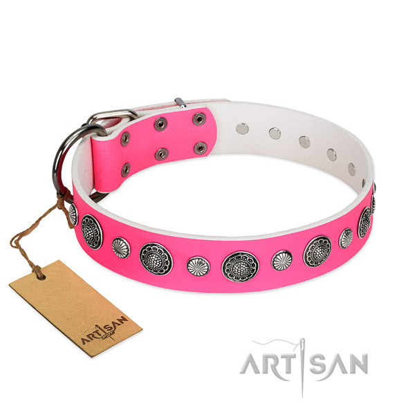 Quality full grain genuine leather dog collar with corrosion resistant traditional buckle