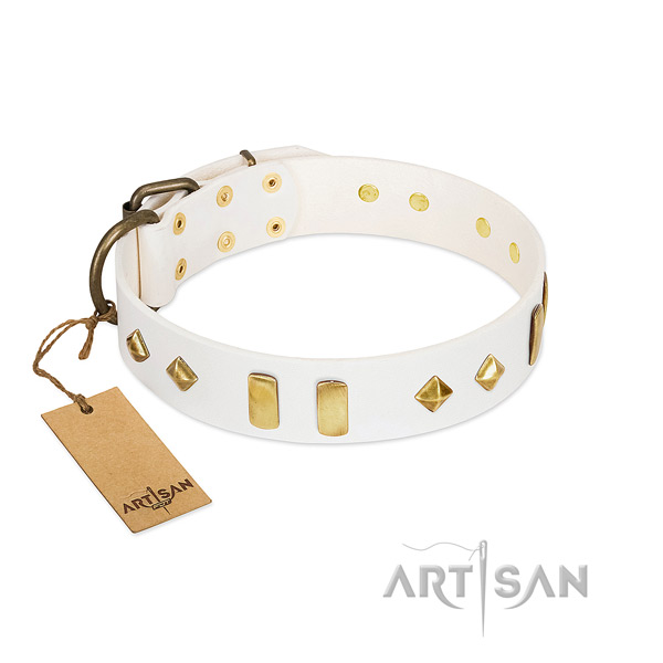 Easy wearing gentle to touch full grain natural leather dog collar with embellishments