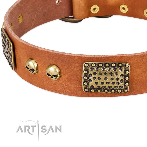 Corrosion proof decorations on full grain natural leather dog collar for your dog