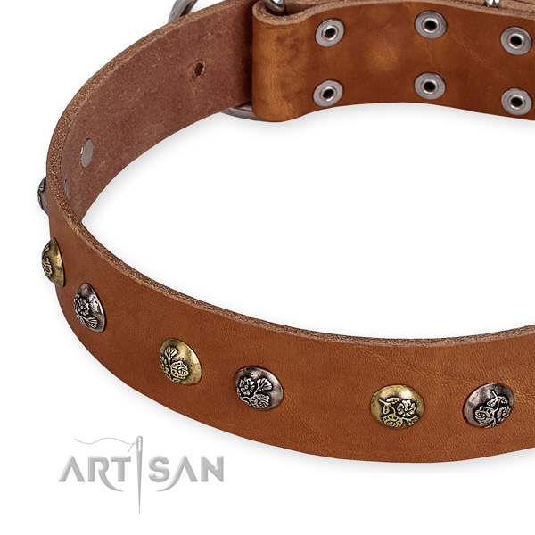 Full grain genuine leather dog collar with inimitable corrosion proof studs