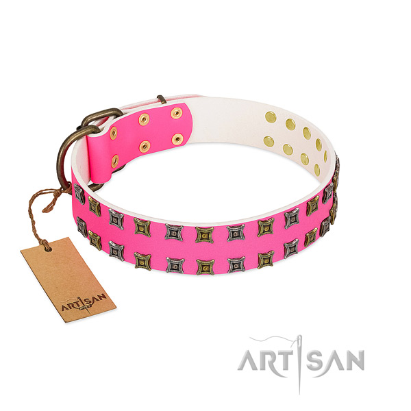 Natural leather collar with significant studs for your doggie