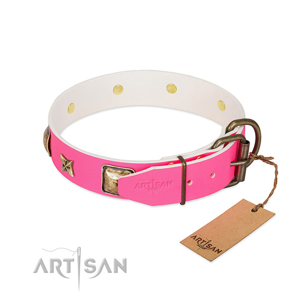 Rust resistant hardware on natural genuine leather collar for stylish walking your doggie