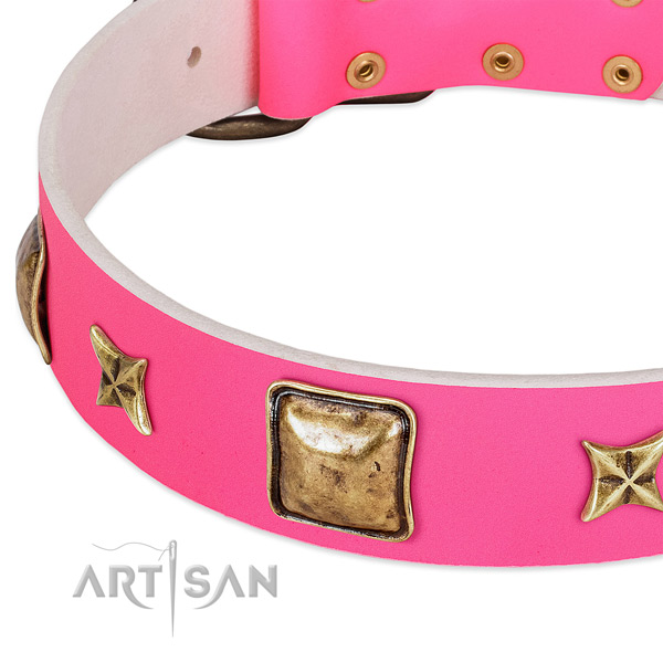 Full grain leather dog collar with awesome decorations