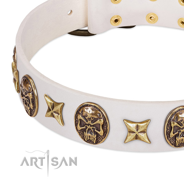 Perfect fit dog collar crafted for your stylish dog
