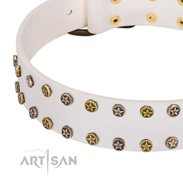 Inimitable studs on full grain natural leather collar for your canine