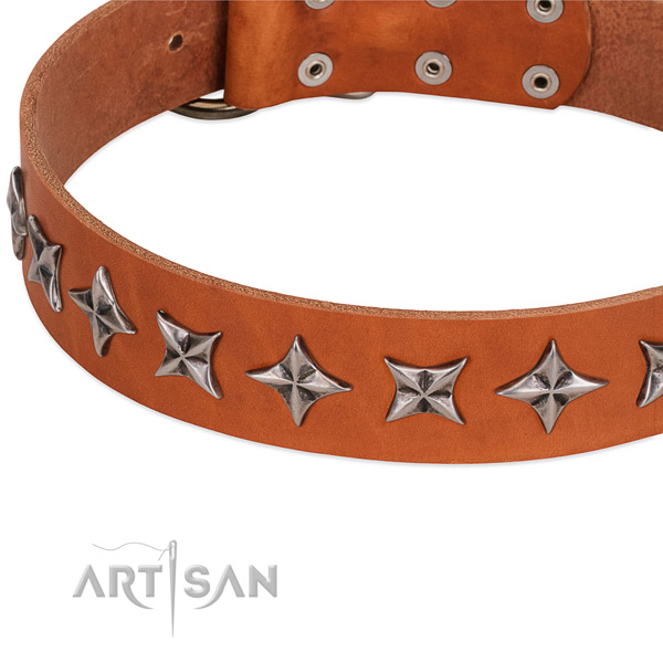 Basic training decorated dog collar of top quality natural leather