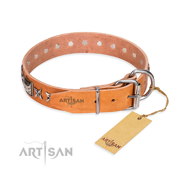 Quality studded dog collar of leather