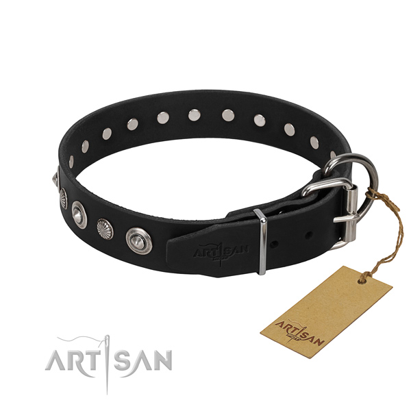 Finest quality genuine leather dog collar with top notch studs