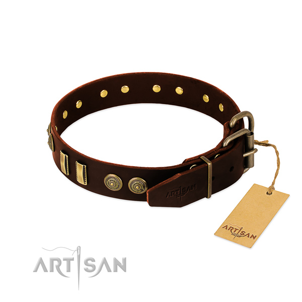 Corrosion proof traditional buckle on natural leather dog collar for your pet