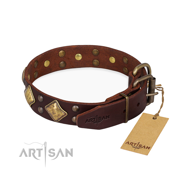 Full grain leather dog collar with unusual reliable studs