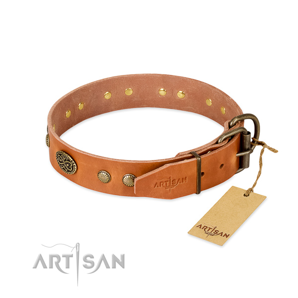 Corrosion proof embellishments on leather dog collar for your dog