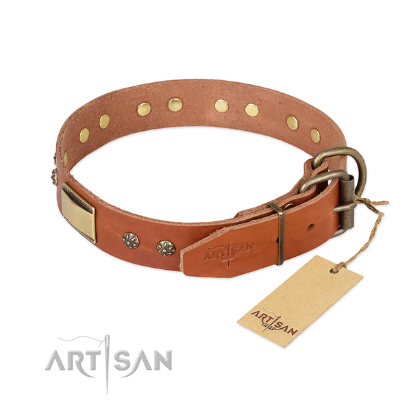 Full grain natural leather dog collar with rust-proof hardware and embellishments