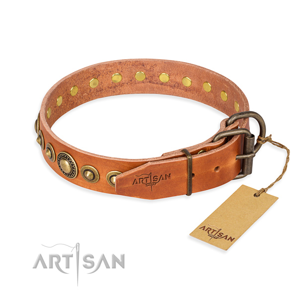 Best quality genuine leather dog collar crafted for everyday use