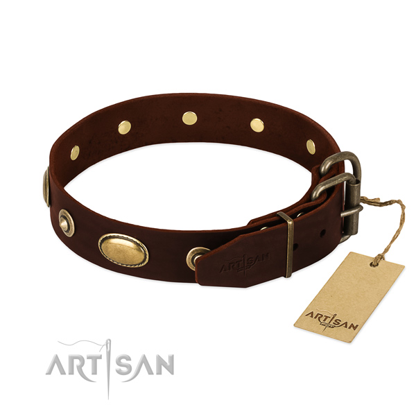Reliable studs on natural leather dog collar for your dog