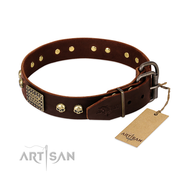 Reliable adornments on comfy wearing dog collar