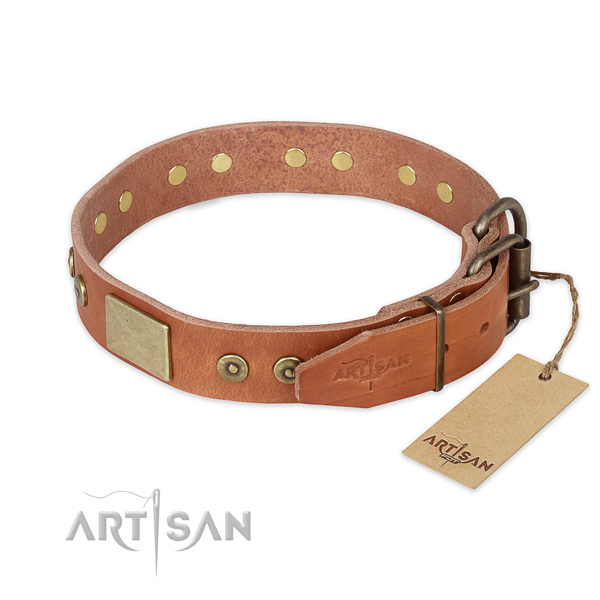 Reliable traditional buckle on full grain genuine leather collar for daily walking your canine