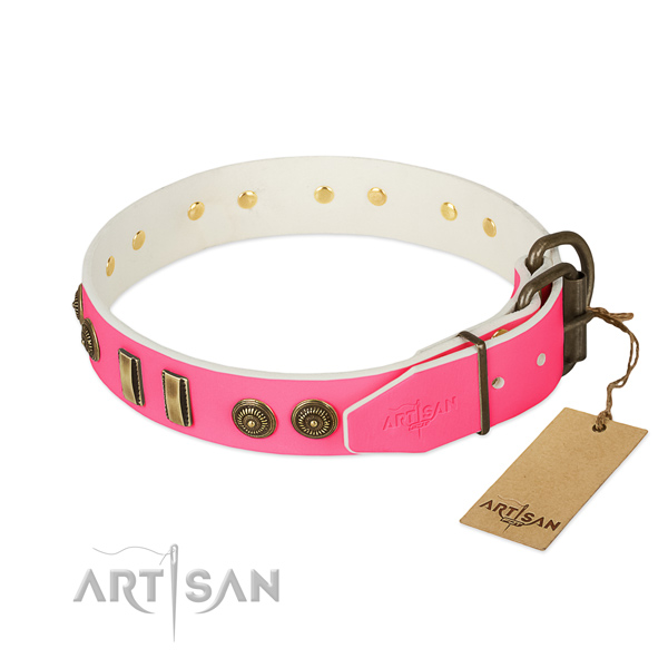 Rust-proof traditional buckle on genuine leather dog collar for your pet