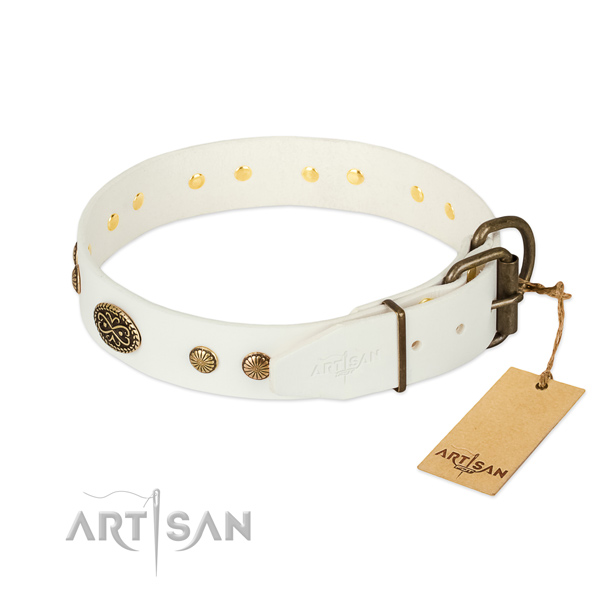 Durable adornments on full grain leather dog collar for your canine