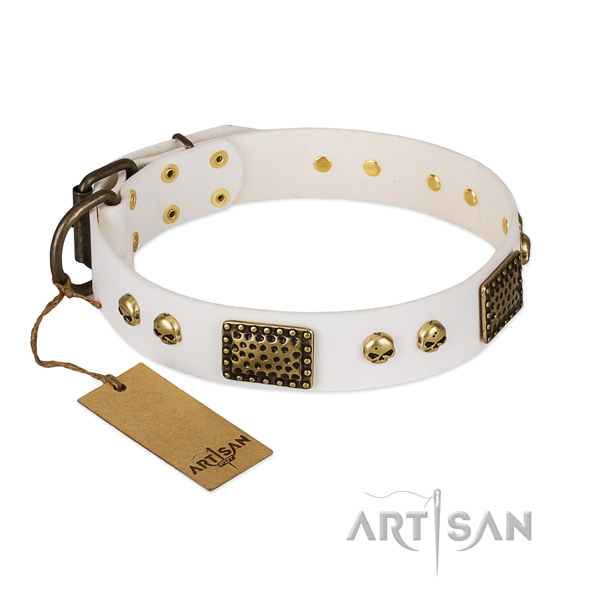 Corrosion resistant embellishments on everyday walking dog collar