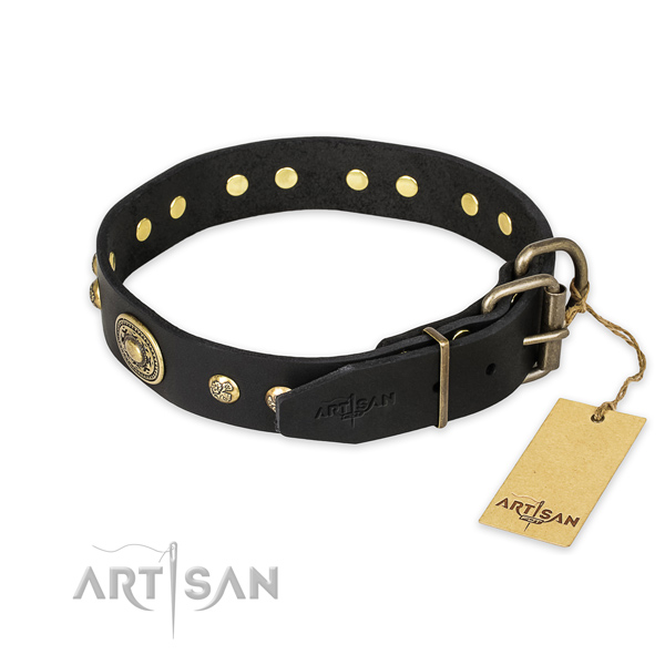 Strong traditional buckle on leather collar for everyday walking your pet