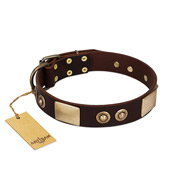 "Sense of Freedom" FDT Artisan Brown Leather dog Collar with Old Bronze-Plated Studs and Plates